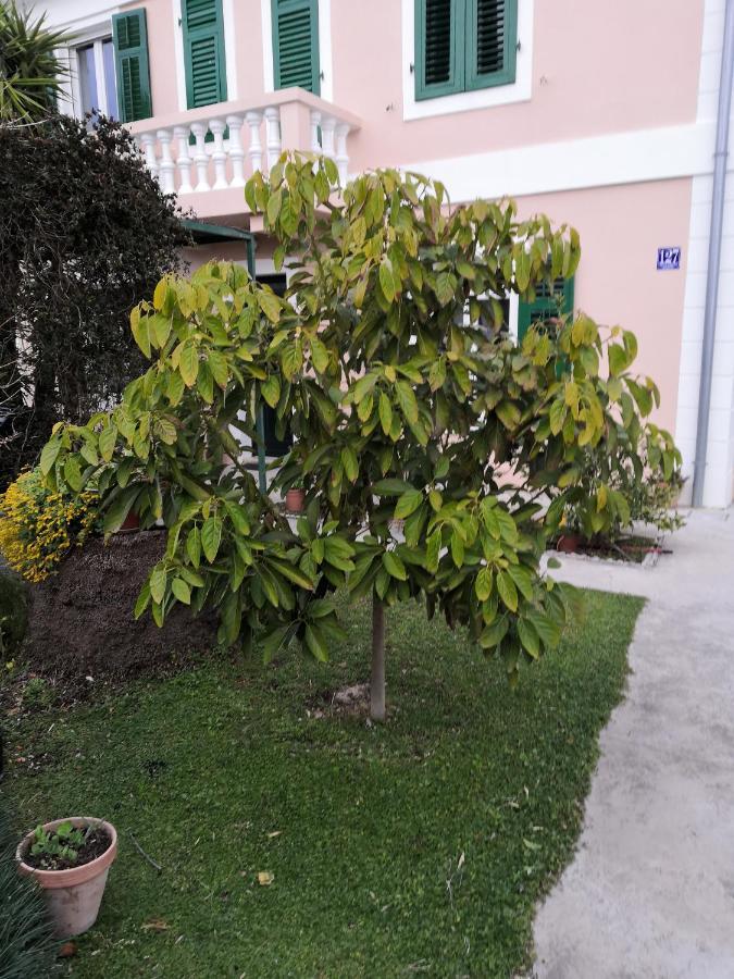 Apartment Dunja Djenovici Herceg Novi Kültér fotó