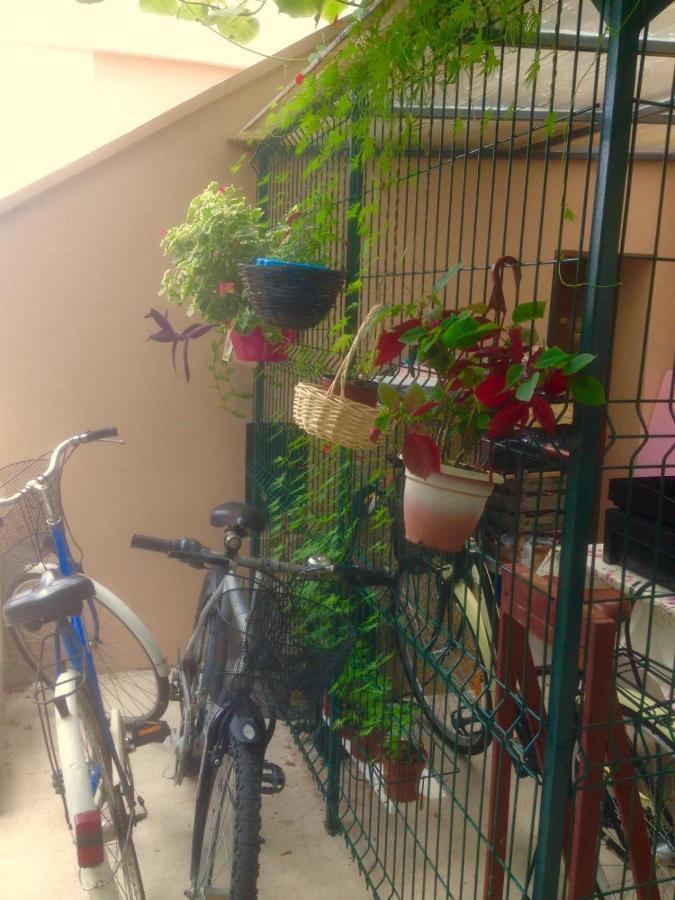 Apartment Dunja Djenovici Herceg Novi Kültér fotó