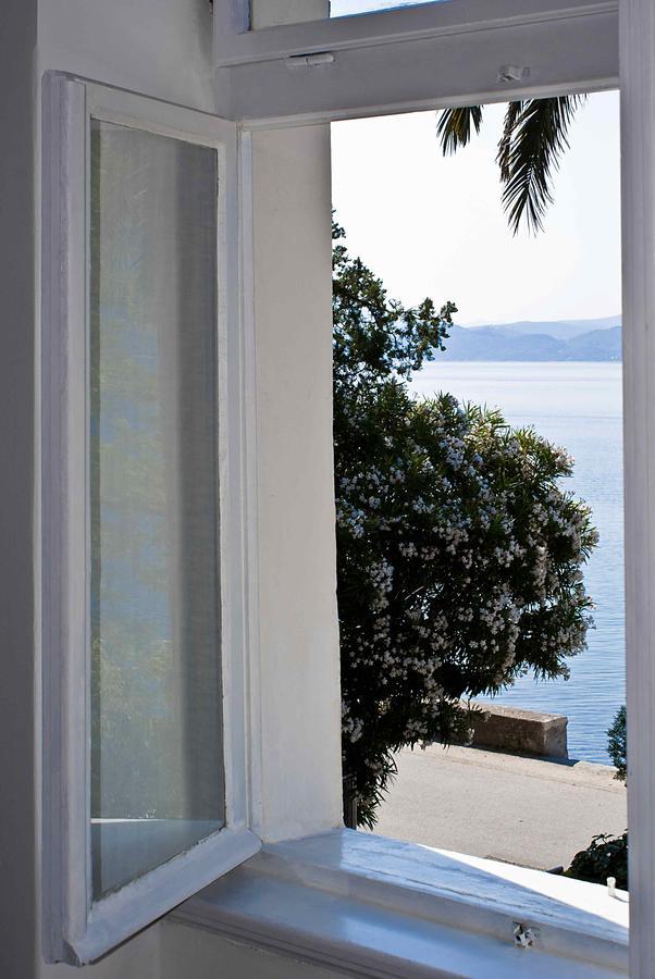 Apartment Dunja Djenovici Herceg Novi Kültér fotó